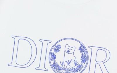 wholesale quality dior shirts model no. 147